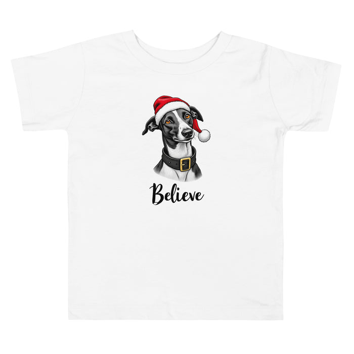 Believe Toddler Tee