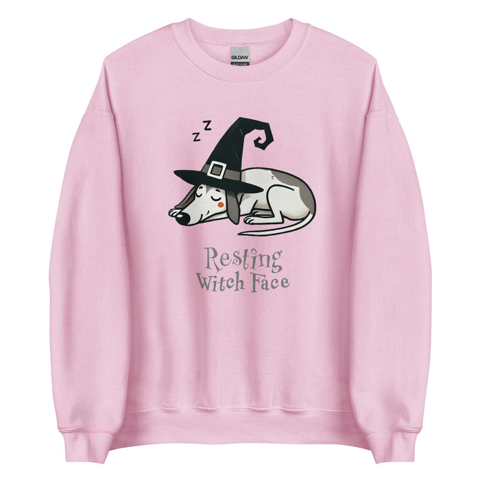 Witch Sweatshirt