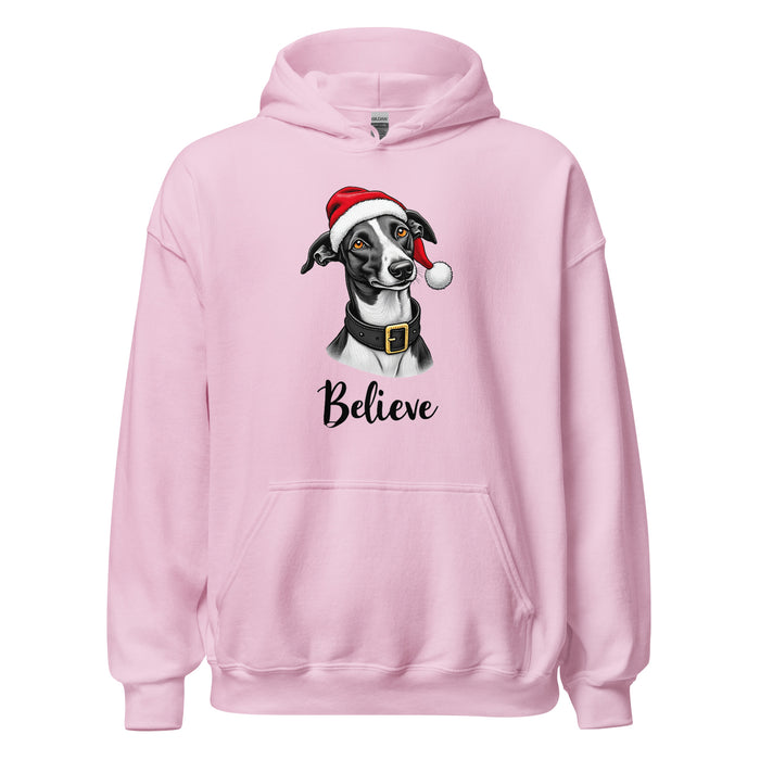 Believe Hoodie