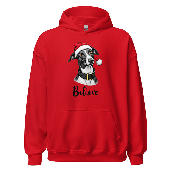 Believe Hoodie