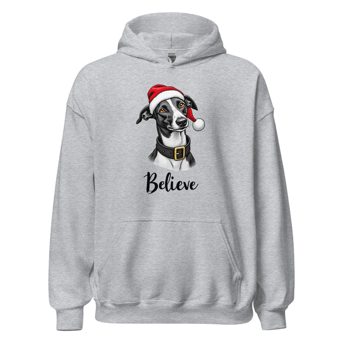 Believe Hoodie