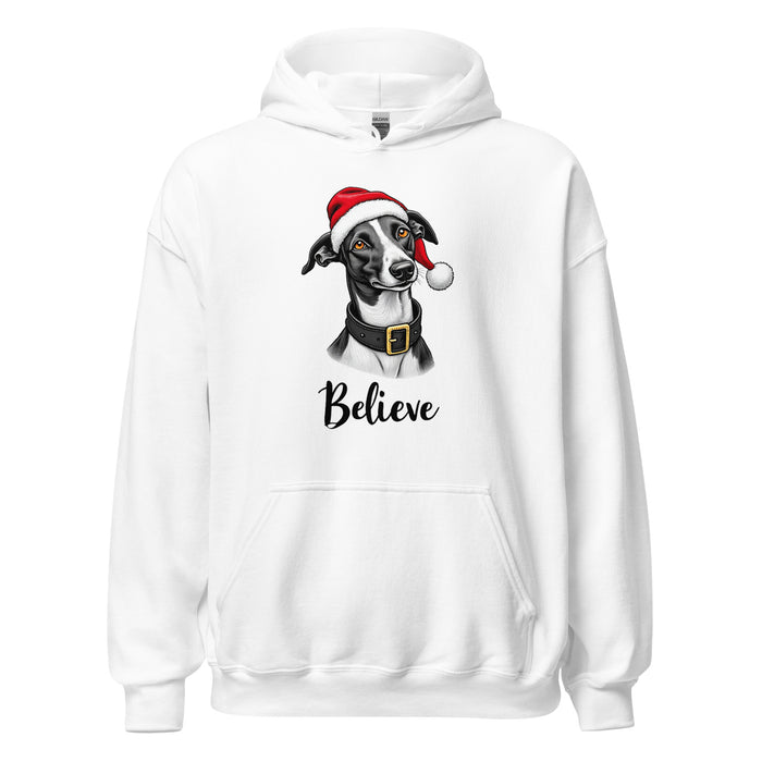 Believe Hoodie